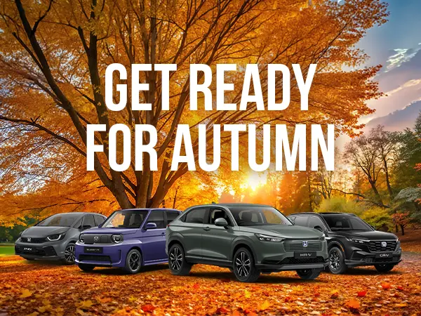 Autumn Health Check - Home
